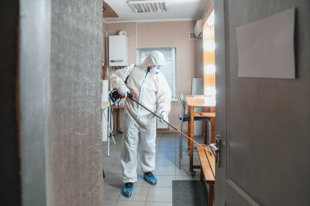 Best Attic Mold Removal  in Richmond Hill, GA