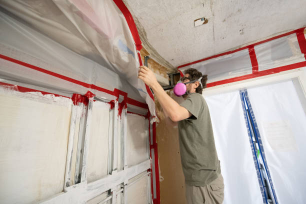 Best Mold Removal for HVAC Installations  in Richmond Hill, GA