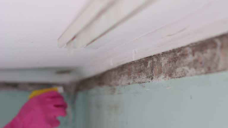 Best Real Estate Mold Inspection  in Richmond Hill, GA